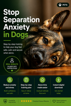 Stop Separation Anxiety in Dogs