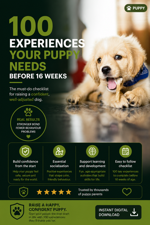 100 Experiences Your Puppy Needs Before 16 Weeks