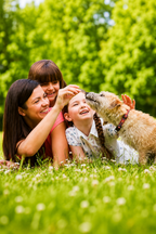 Puppy Training Complete Pack