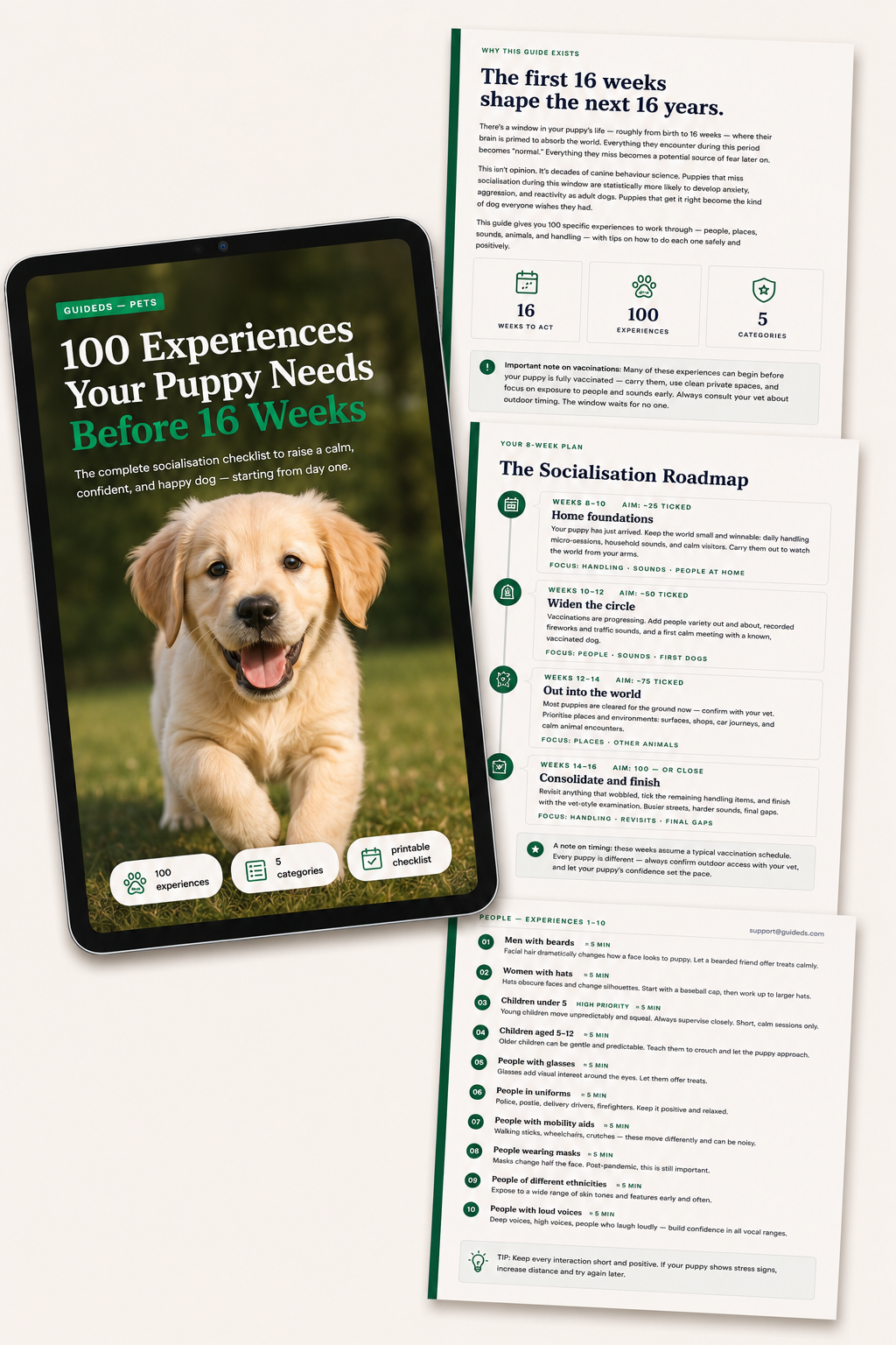 100 Experiences Your Puppy Needs Before 16 Weeks
