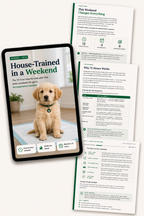 House-Trained in a Weekend