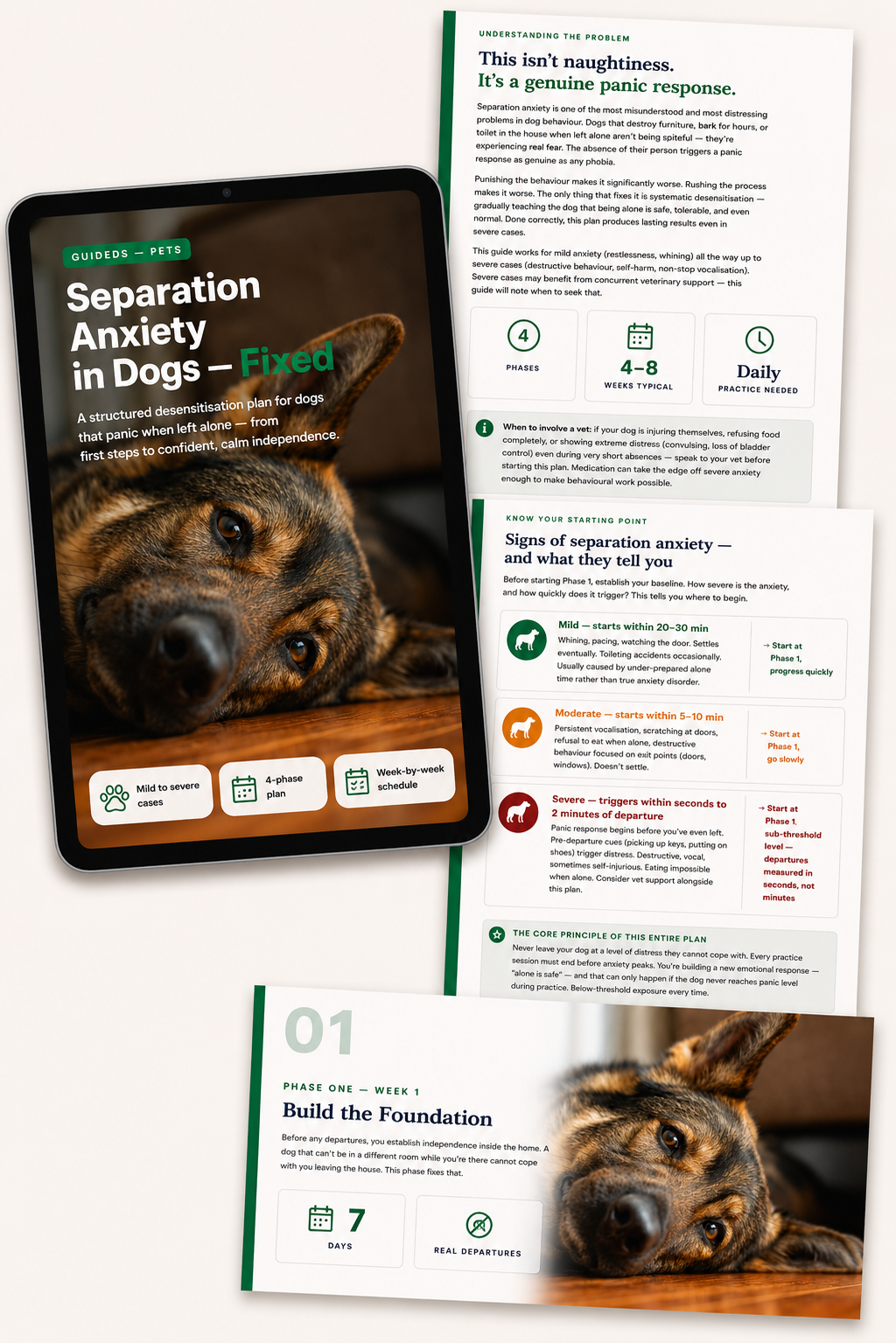 Stop Separation Anxiety in Dogs